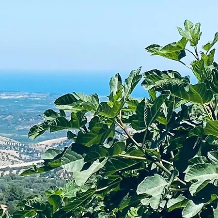 Palazzo Scura Bed & Breakfast Vaccarizzo Albanese