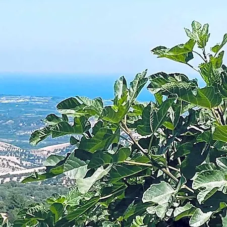 Palazzo Scura 3*