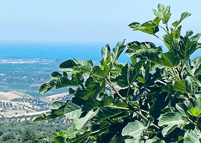 Palazzo Scura Alojamento de Acomodação e Pequeno-almoço Vaccarizzo Albanese